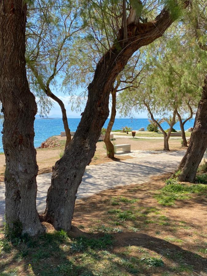 Athens-Riviera Luxury Apartment Sea View Voula エクステリア 写真