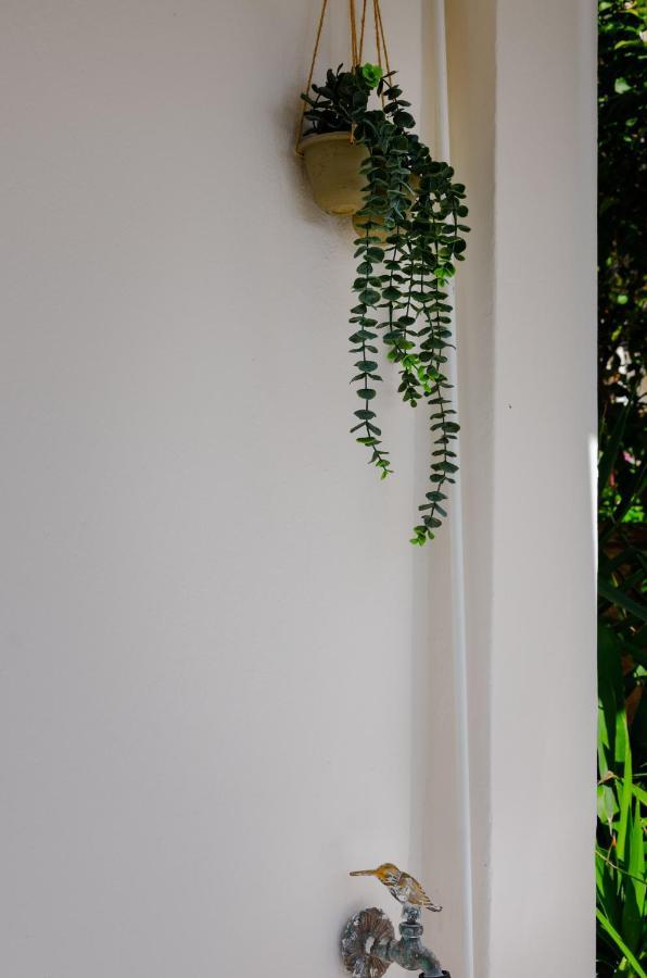 Athens-Riviera Luxury Apartment Sea View Voula エクステリア 写真